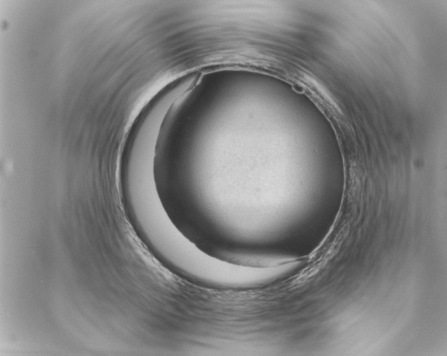 X0000088160788200706051050