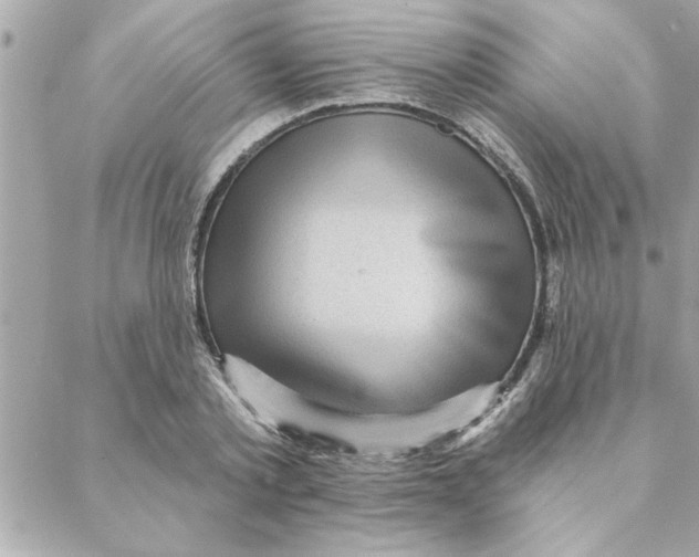 X0000088160789200706051050