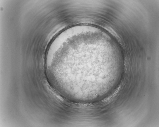 X0000088160790200706051050