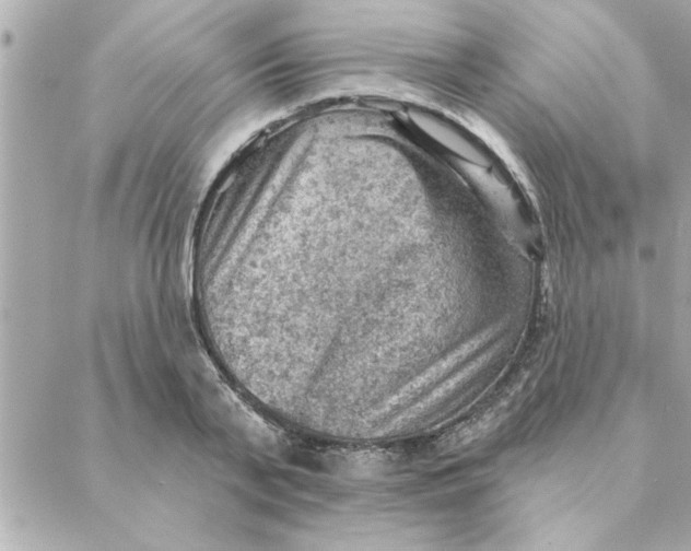 X0000088160791200706051050