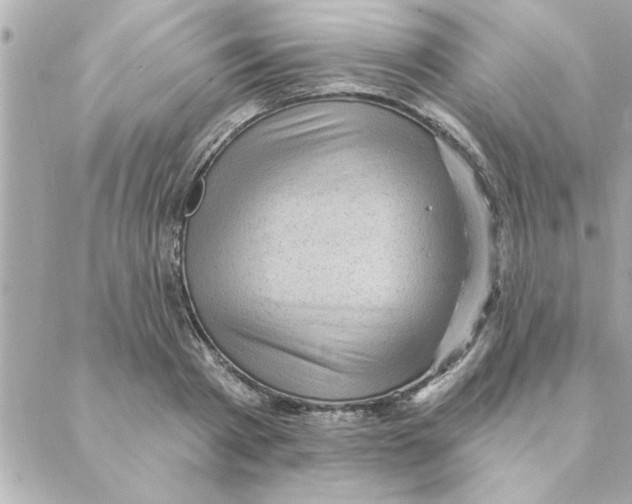 X0000088160793200706051050