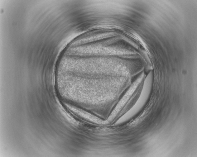 X0000088160795200706051050