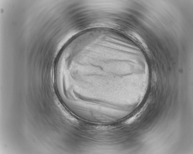 X0000088160796200706051050