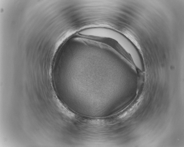 X0000088160797200706051050