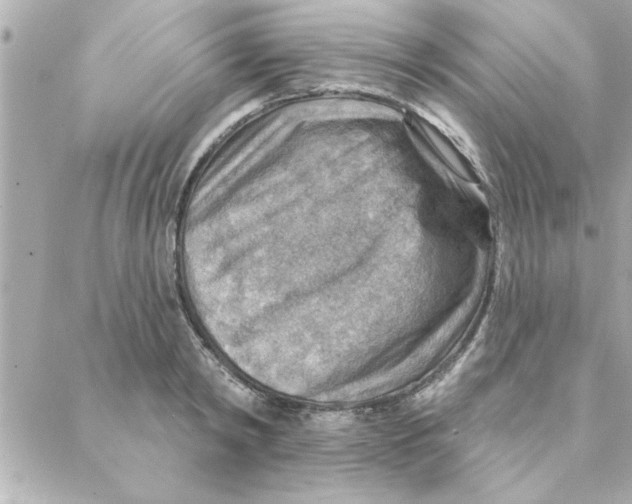 X0000088160798200706051050