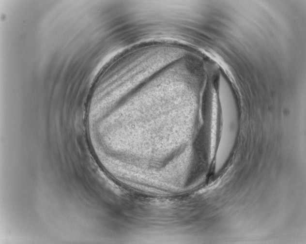 X0000088160799200706051050