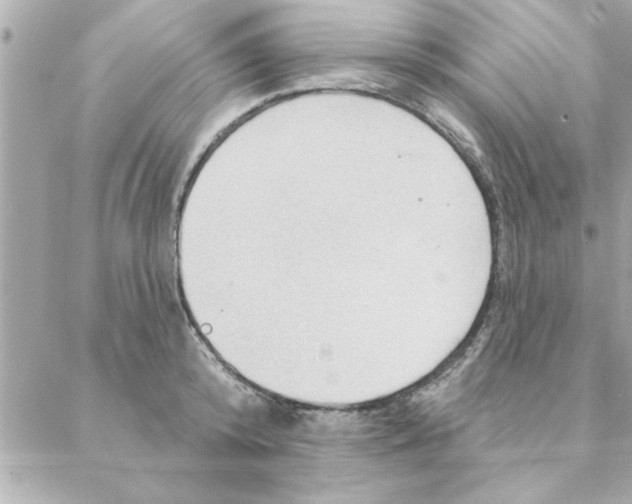 X0000088160800200706051050