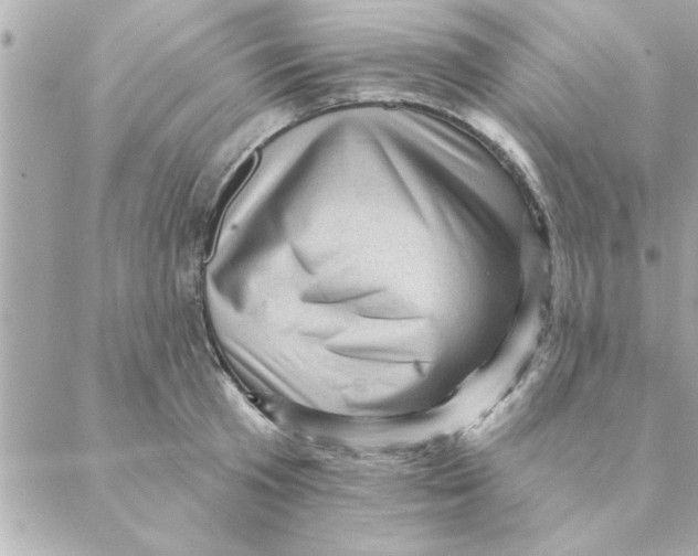 X0000088160801200706051050