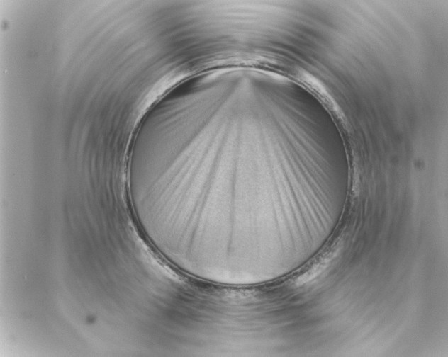 X0000088160802200706051050