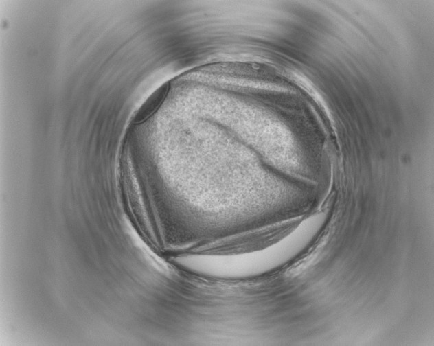 X0000088160803200706051050