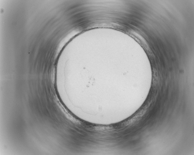 X0000088160804200706051050