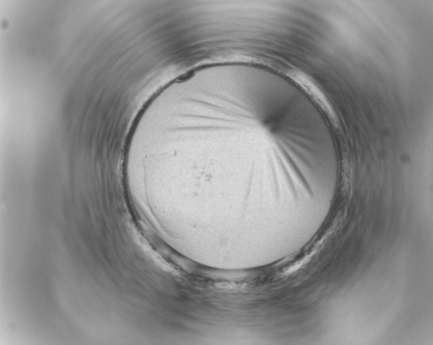 X0000088160805200706051050