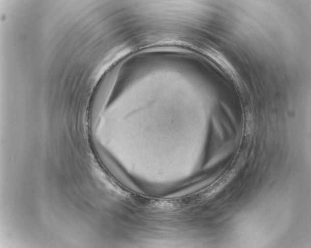 X0000088160806200706051050