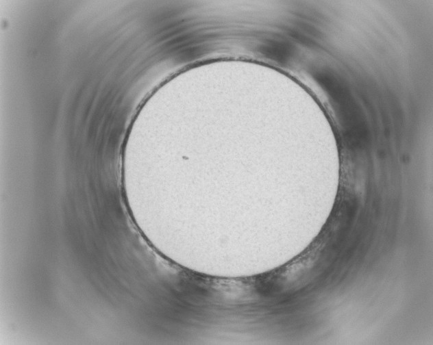 X0000088160807200706051050