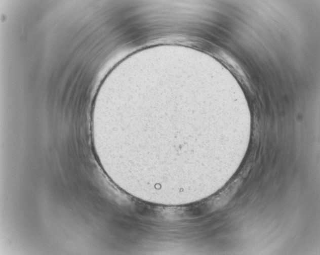 X0000088160808200706051050