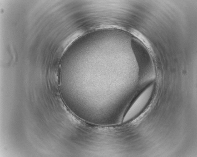 X0000088160809200706051050