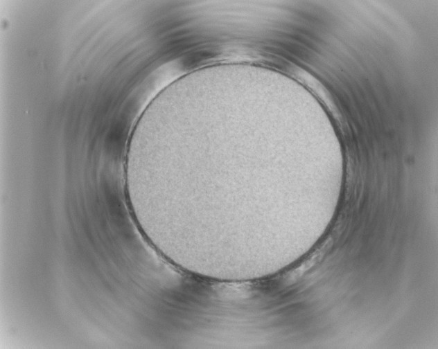 X0000088160810200706051050