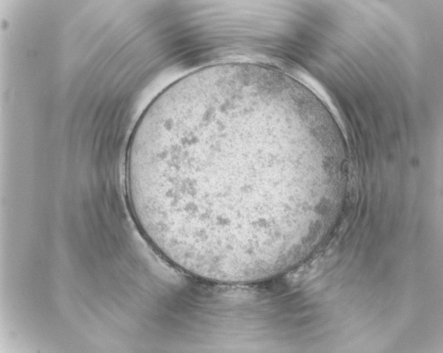 X0000088160811200706051050