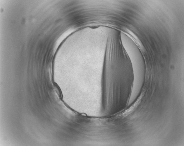 X0000088160812200706051050