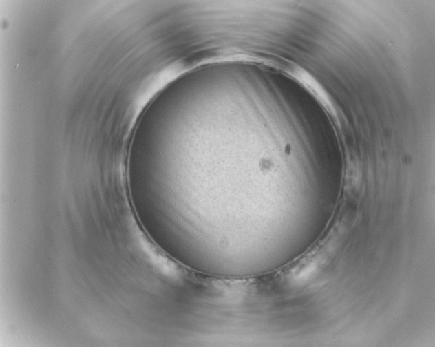 X0000088160813200706051050