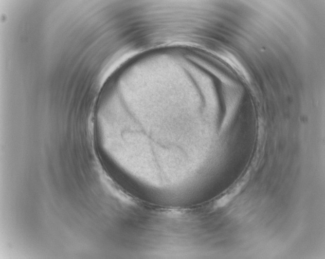 X0000088160814200706051050