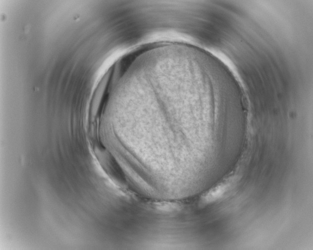 X0000088160815200706051050