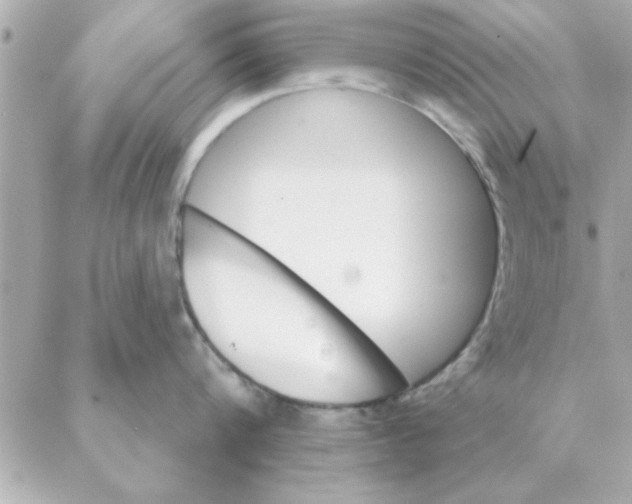 X0000088160816200706051050