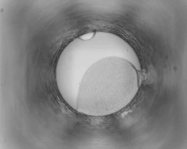 X0000088160820200706051049