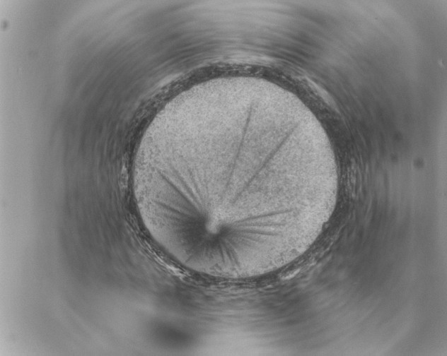 X0000088160821200706051049