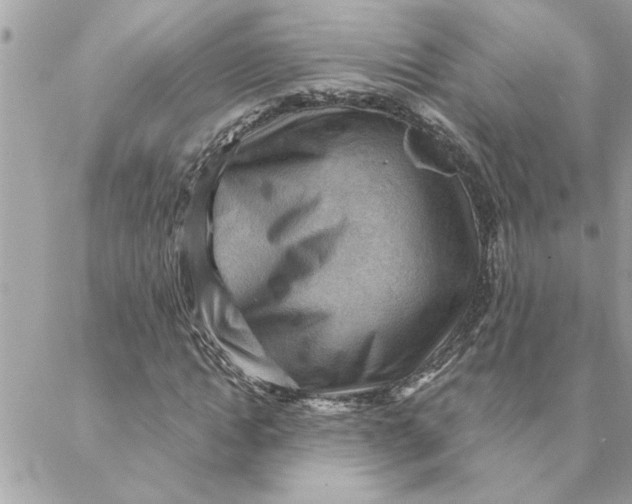 X0000088160822200706051049