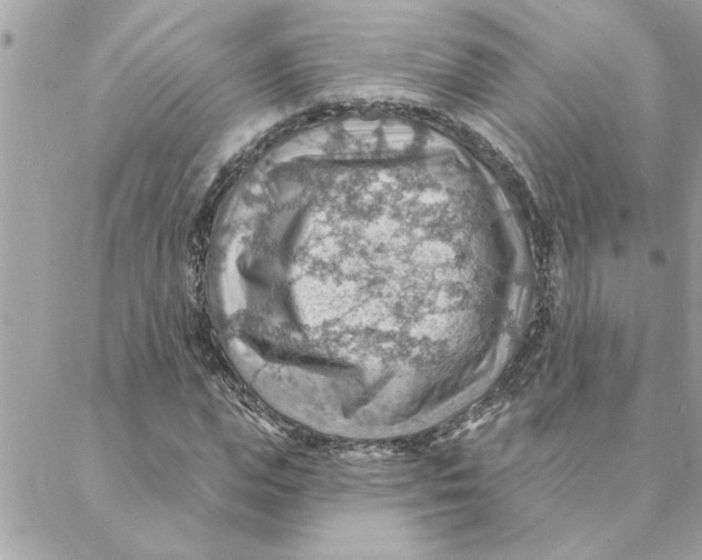 X0000088160823200706051049