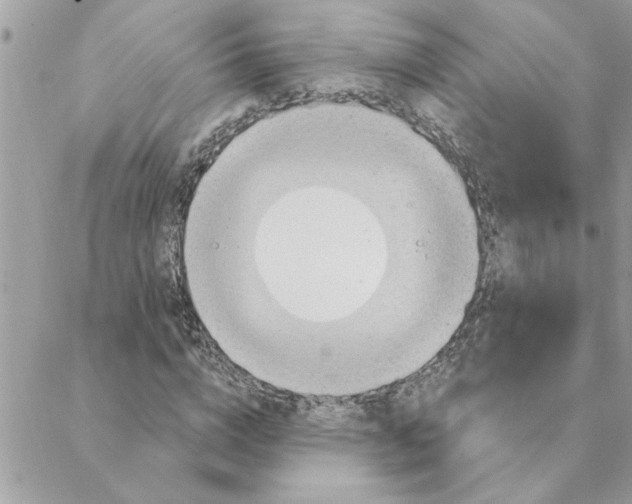 X0000088160824200706051049