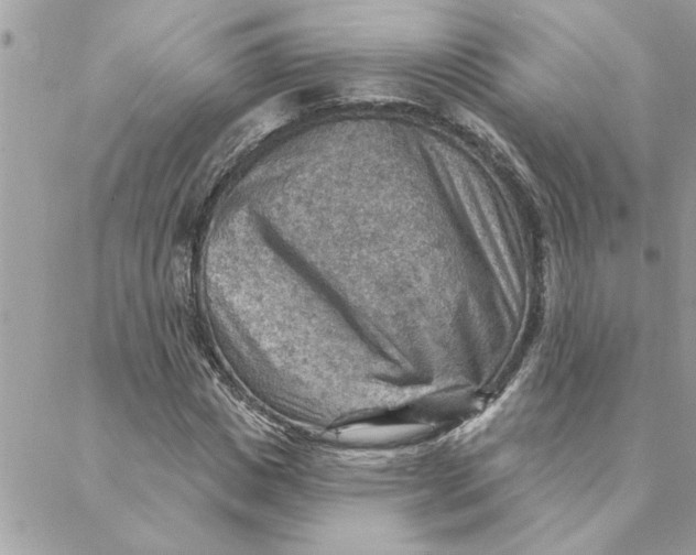 X0000088160825200706051049