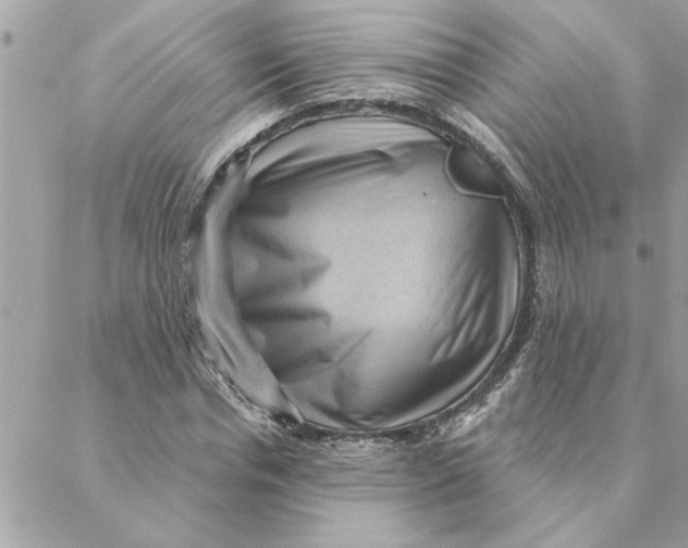 X0000088160826200706051049