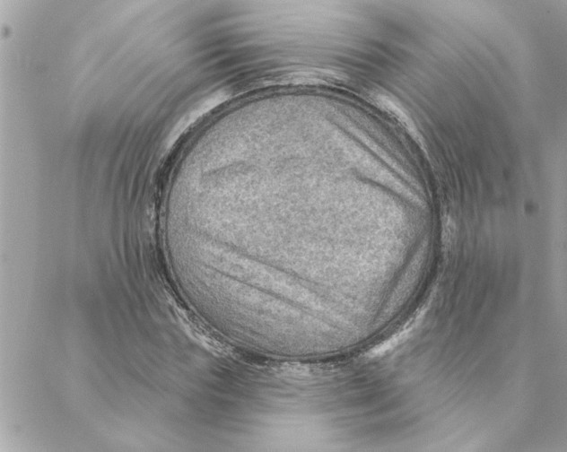 X0000088160827200706051049