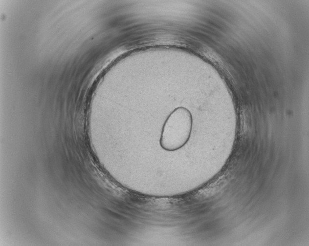 X0000088160828200706051049