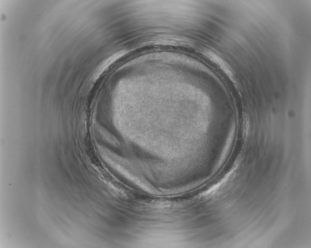 X0000088160829200706051049