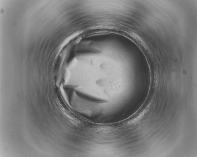 X0000088160830200706051049