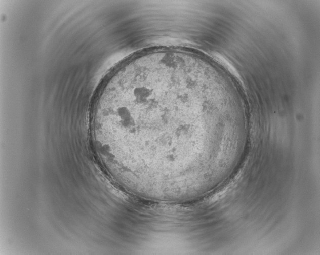 X0000088160831200706051049