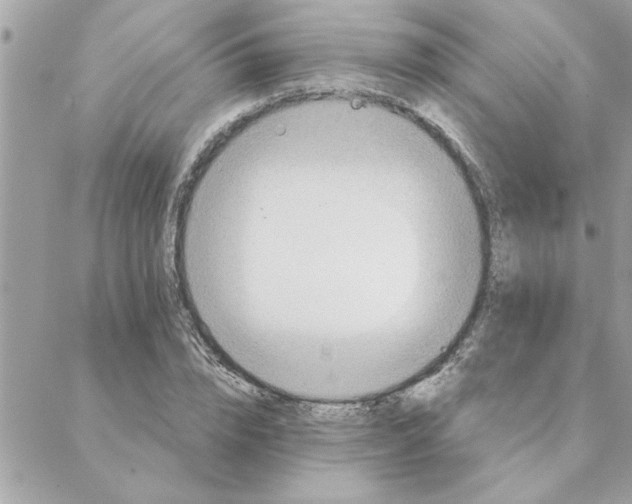 X0000088160832200706051049