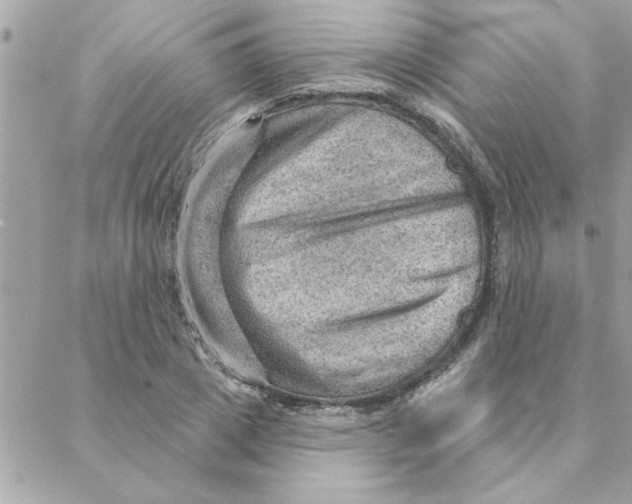 X0000088160833200706051049