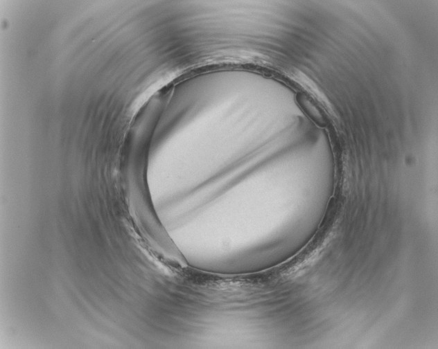 X0000088160834200706051049