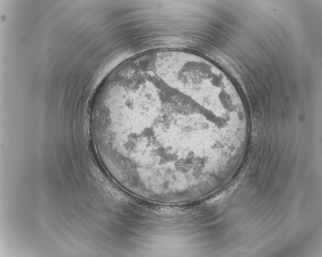 X0000088160835200706051049