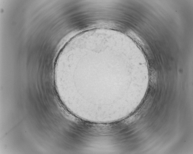 X0000088160836200706051049