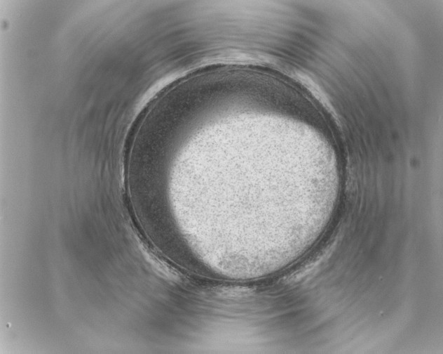 X0000088160837200706051049