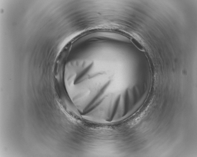 X0000088160838200706051049