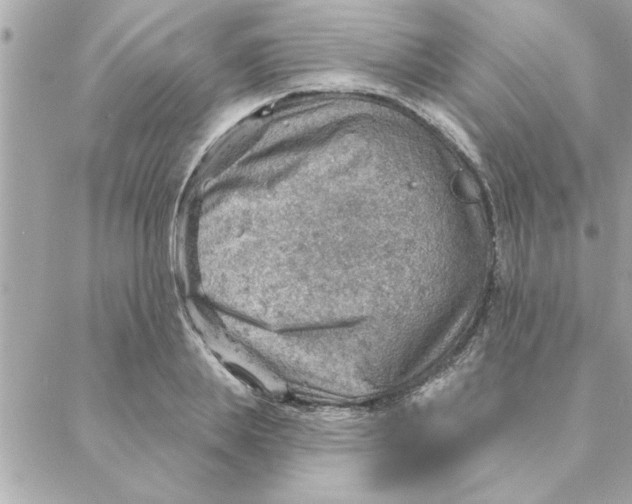 X0000088160839200706051049