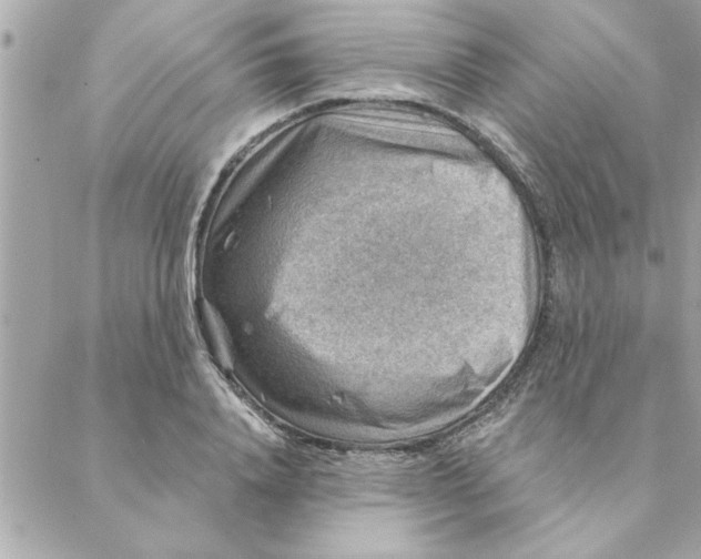 X0000088160840200706051049