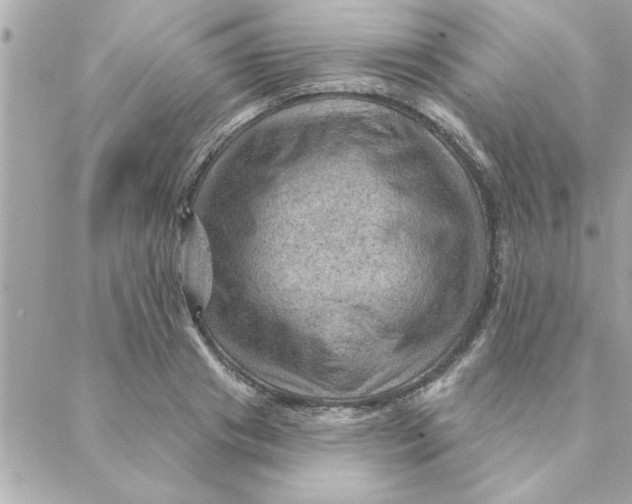 X0000088160841200706051049