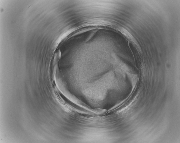 X0000088160842200706051049